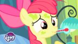 My Little Pony | Family Appreciation Day | My Little Pony Friendship is Magic | MLP: FiM