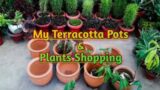 My Terracotta Pots & Plants Shopping With Price || Clay Pots For My Garden #terracottapots