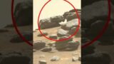 Mysterious Mars Sol 173 #shorts Perseverance Rover