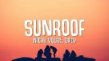 Nicky Youre, dazy – Sunroof (Lyrics) i got my head out the sunroof