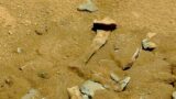 No Bones on Mars according to Curiosity Rover images