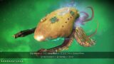 No Man's Sky Leviathan (space whale) frigate in fleet