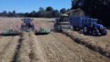 OUT FOR HIRE! MOWING WHOLECROP FOR ANOTHER CONTRACTOR