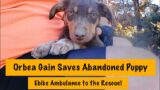 Orbea Gain Saves Abandoned Puppy! E-bike Ambulance to the Rescue!