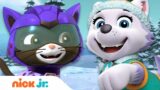 PAW Patrol & Cat Pack Rescue a Baby Mountain Goat! w/ Everest & Shade | Nick Jr.