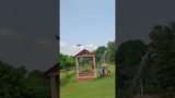 Patna eco park Bihar #bihar #india #ad #instagram #tiktok #totalgaming #status #reels #instagood #ek