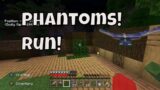 Phantoms!! OMG! RUN RUN RUN!! Building a castle minecraft #minecraft #phantom