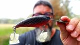 Pitbull Black Snake Diving Murray Cod Lure and This Months Mail Time