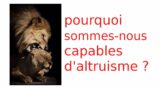 Pourquoi sommes-nous capables d'altruisme ?