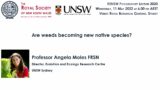 RSNSW Poggendorff Lecture 2020:  Are our weeds becoming new native species? (Prof. Angela Moles)