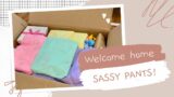 Reborn Sassy Celebration Box Opening!  Beautiful Clothing Haul & Merry Mail