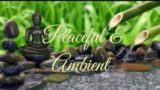 Relaxing bamboo water fountain & soft piano music  sleep & Maditation music,