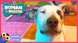 Roman Finds Deaf and Partially Blind Puppy A Family | Roman To The Rescue | @Disney XD x @Dodo Kids
