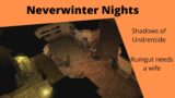 Rumgut needs a wife – Neverwinter Nights – Shadows of Undrentide (part 1)