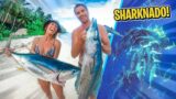 SHARKS ATTACK WHILE SPEARFISHING!
