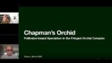 Sci-Cafe: Chapman's Orchid
