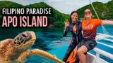 Solo Travel to APO ISLAND Philippines – this Turtle Paradise left me SPEECHLESS!