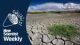 Some of the worst droughts in Europe for 500 years | New Scientist Weekly podcast, episode 132