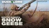 South Dakota Snow Geese | Duck Lore