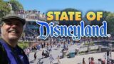 State of Disneyland | Tour around a wide open park