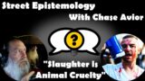 Street Epistemology with Chase Avior  "Slaughter is Animal Cruelty"