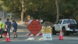 Stretch of Griffith Park Drive to permanently close to cars