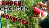 Supercharged Worm Compost Tea- Pest protection and foliar feed
