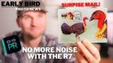 Surprise Mail! | No More NOISE with The R7 | Nikon Z8 in AUGUST? | My Favourite Accessory!