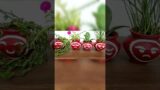 Terracotta pot planter idea || #Shorts #homeart #viralvideo