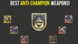 The *Best* Weapons To Pair With The Season 18 Champion Mods | Destiny 2