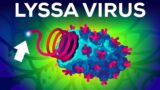 The Deadliest Virus on Earth