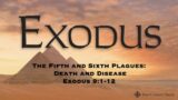 The Fifth and Sixth Plagues: Death and Disease