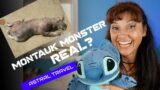 The Montauk Monster Real?  #montaukmonster #montaukprojects #astraltravel #astralprojection
