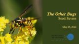 The Other Bugs – Scott Severs, May 2022