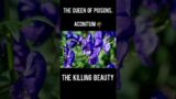 The Queen Of Poisons , Aconitum Flower #shorts #short #ytshorts #amazingfacts