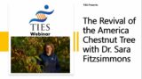 The Revival of the America Chestnut Tree with Dr. Sara Fitzsimmons