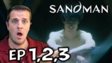 The Sandman Episode 1, 2, 3 Reaction