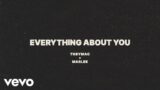 TobyMac, Marlee – Everything About You (Lyric Video)