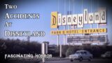 Two Accidents At Disneyland | A Short Documentary | Fascinating Horror