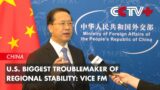 U.S. Biggest Troublemaker of Regional Stability: Vice FM