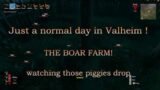 VALHEIM BOAR FARM !