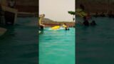 Varanasi Beautiful Waterpark #shorts #aquajungle #funtasia #funcity #waterpark #blueworldcity #viral