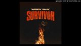 Wendy Shay – Survivor (Radio Clean Version) + Download Link In Description