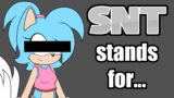 What does SNT stand for? – The story of how I created my Sonic OC