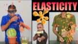 What is ELASTICITY? | Learn With Experiments | dArtofScience