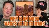 Why Elon Musk Is Colonizing Mars