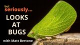 "But Seriously…" Looks at Bugs with Matt Bertone