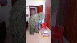 FUNNY VIDEO GHILLIE SUIT TROUBLEMAKER BUSHMAN PRANK try not to laugh Family The Honest Comedy 5