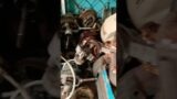Broken pieces