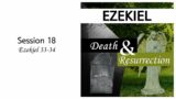18.  Ezekiel 33-34